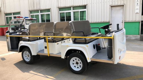 品牌认证11座利凯士得电动观光车 专用电瓶车引领绿色出行新体验